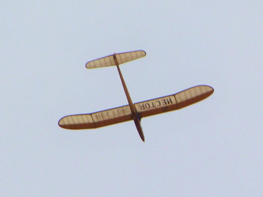 Hector vintage A2 glider